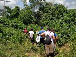 Sungbon-Eredo Heritage: Exploring Africa's biggest archaeological monuments site for tourism revenue